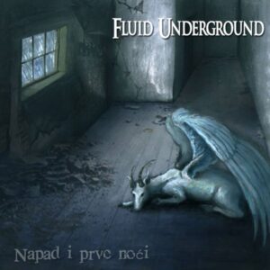 East Sound: The Serbian band Fluid Underground