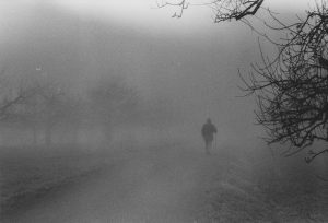 Perlentaucher Nachtfahrt: Nur noch Nebel