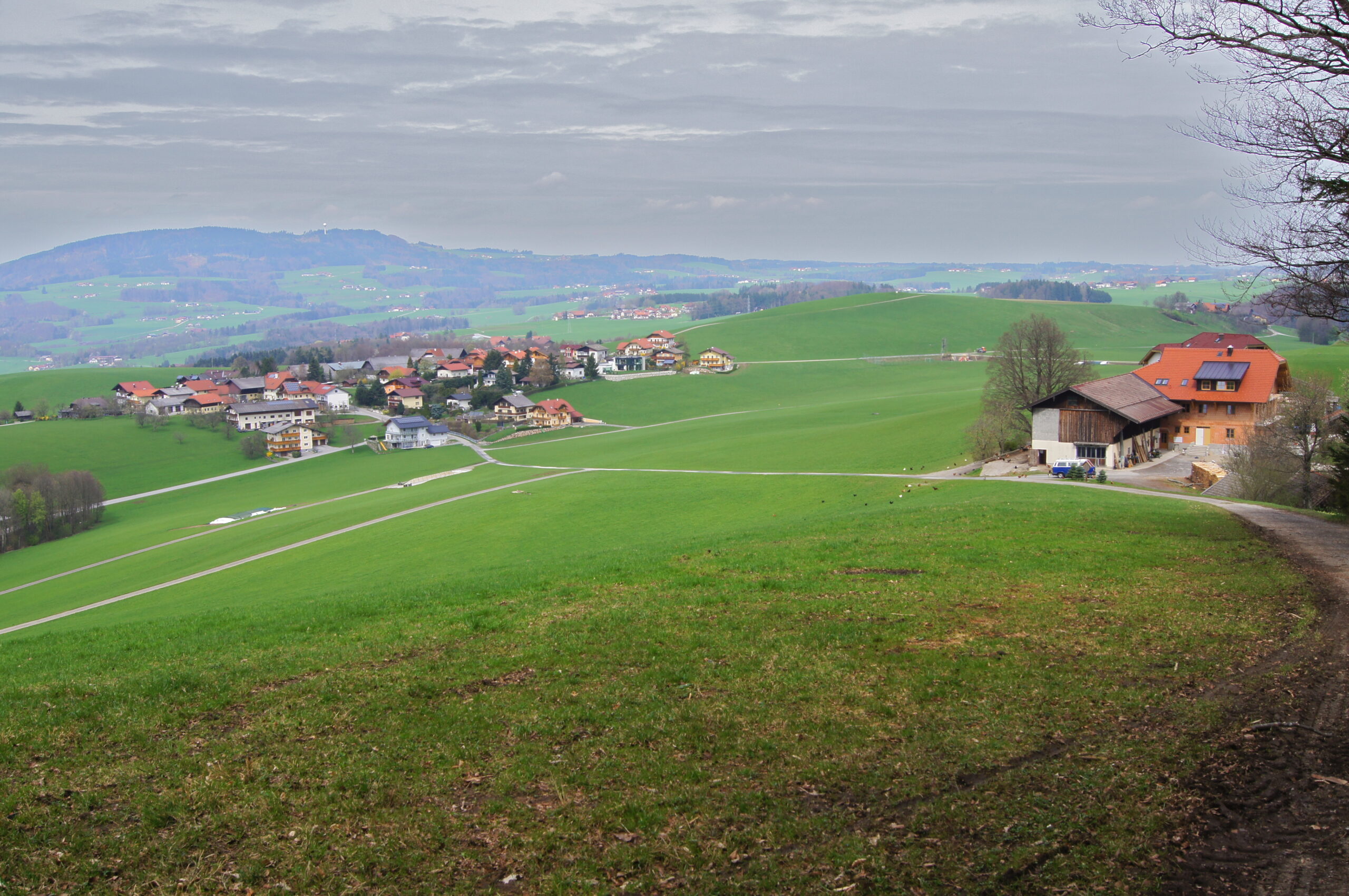 bergheim-jpg