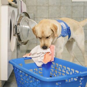 Unerhoert Partnerhunde Waschmaschine Ausraeumen