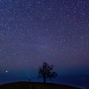 Stoned Poets: Shamanic Shift - Dannielle Bryan II