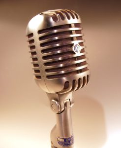 Shure Mikrofon 55S