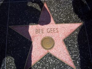 Bee Gees Star