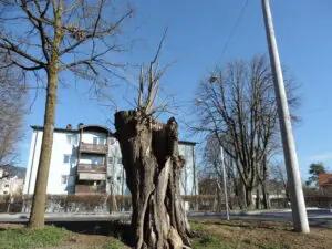 Es Gibt Kein Richtiges Leben Im Falschen