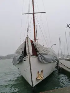 IMG 20240211 124852