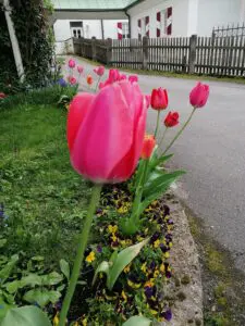 IMG 20240410 160900