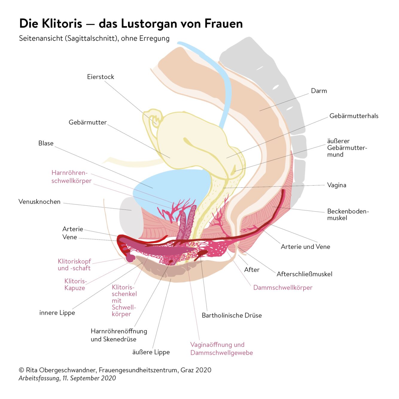 Spannende Klitoris Ist Entzndet Was Tun Ebenbild