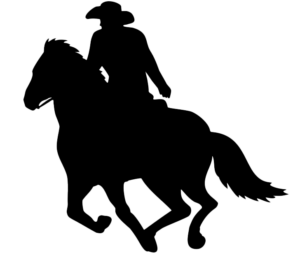 Western Digital Rider