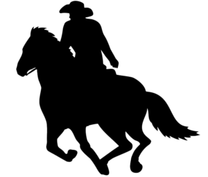Western Digital Rider