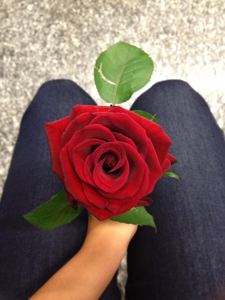 Lust-ige Spielzeuge für Frauen