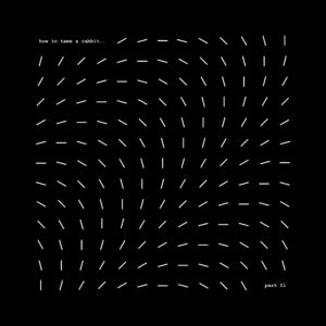 How To Tame A Rabbit – „Part One“