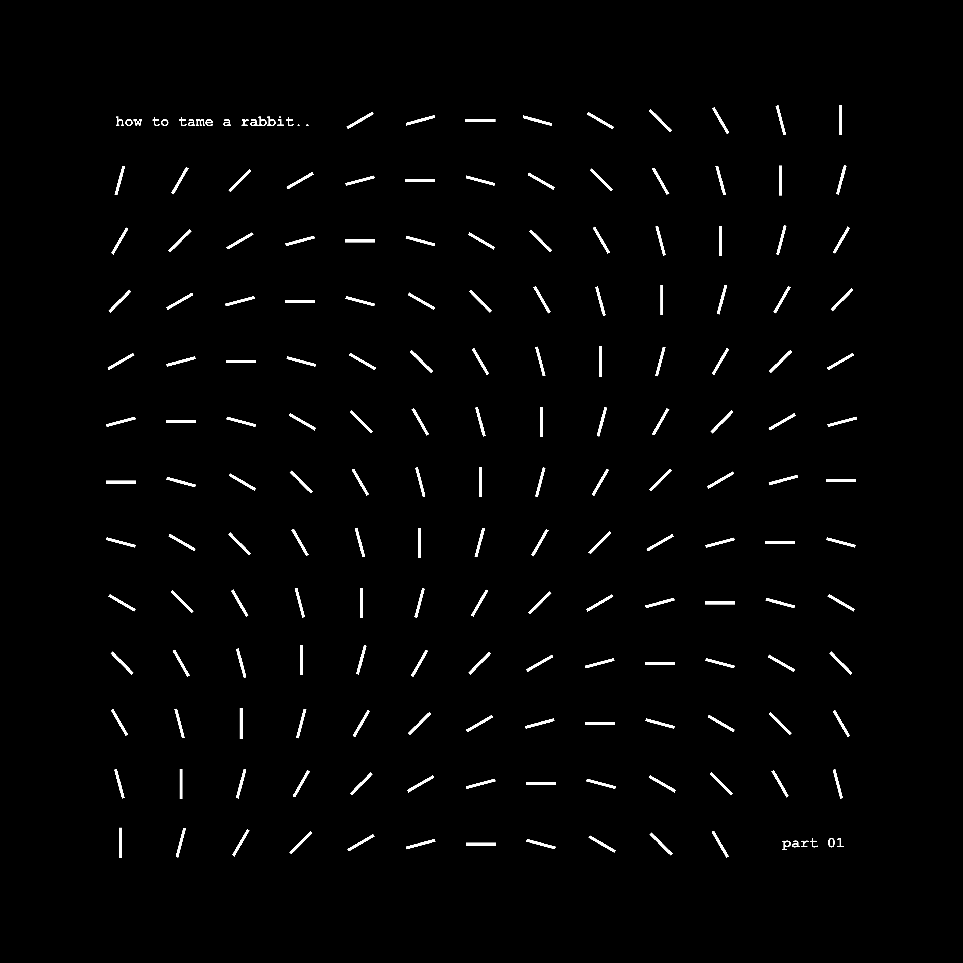 How To Tame A Rabbit – „Part One“
